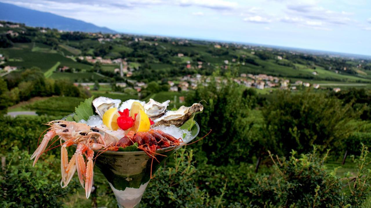 Villa Del Poggio Prosecco Bike Hotel San Pietro Di Feletto Bagian luar foto